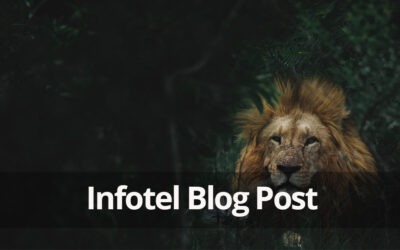 Taming the Moving Target: Dynamic SQL Plan Stability in Db2 for z/OS